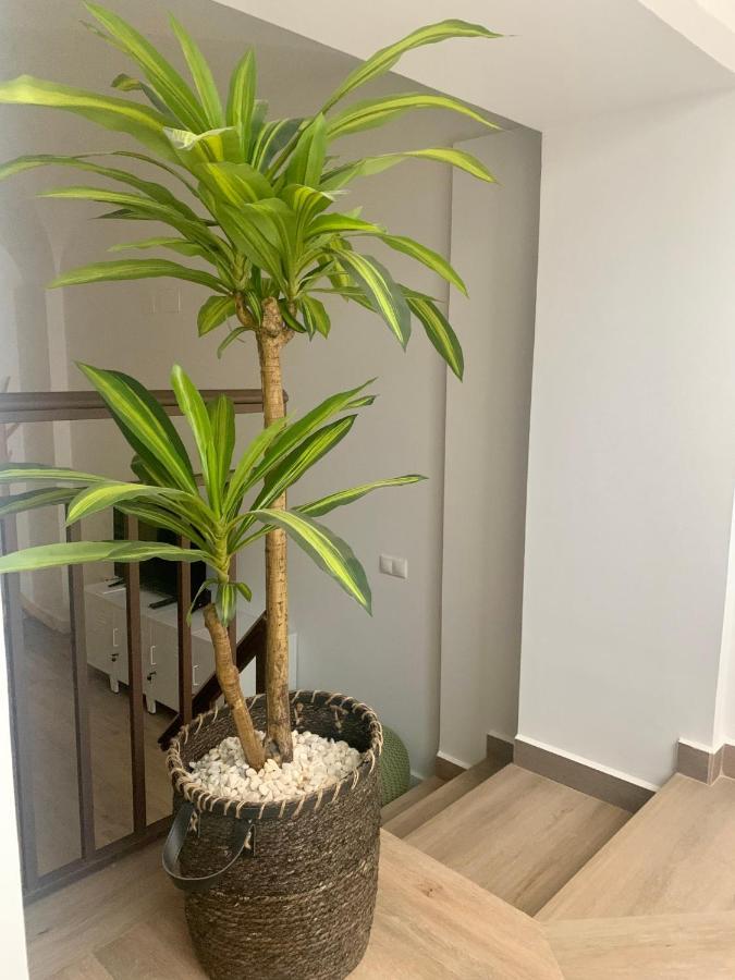 Puerta De Caceres Apartamento 2 Kültér fotó