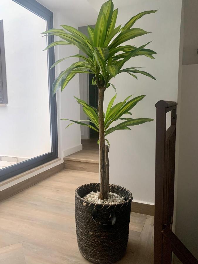 Puerta De Caceres Apartamento 2 Kültér fotó